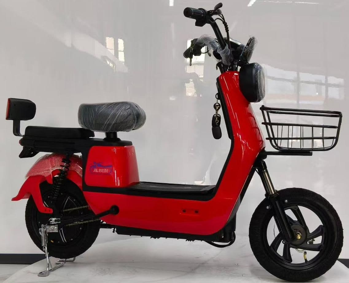 Electric Bicycle GM209, 48V350 /500, 30-35 km/h