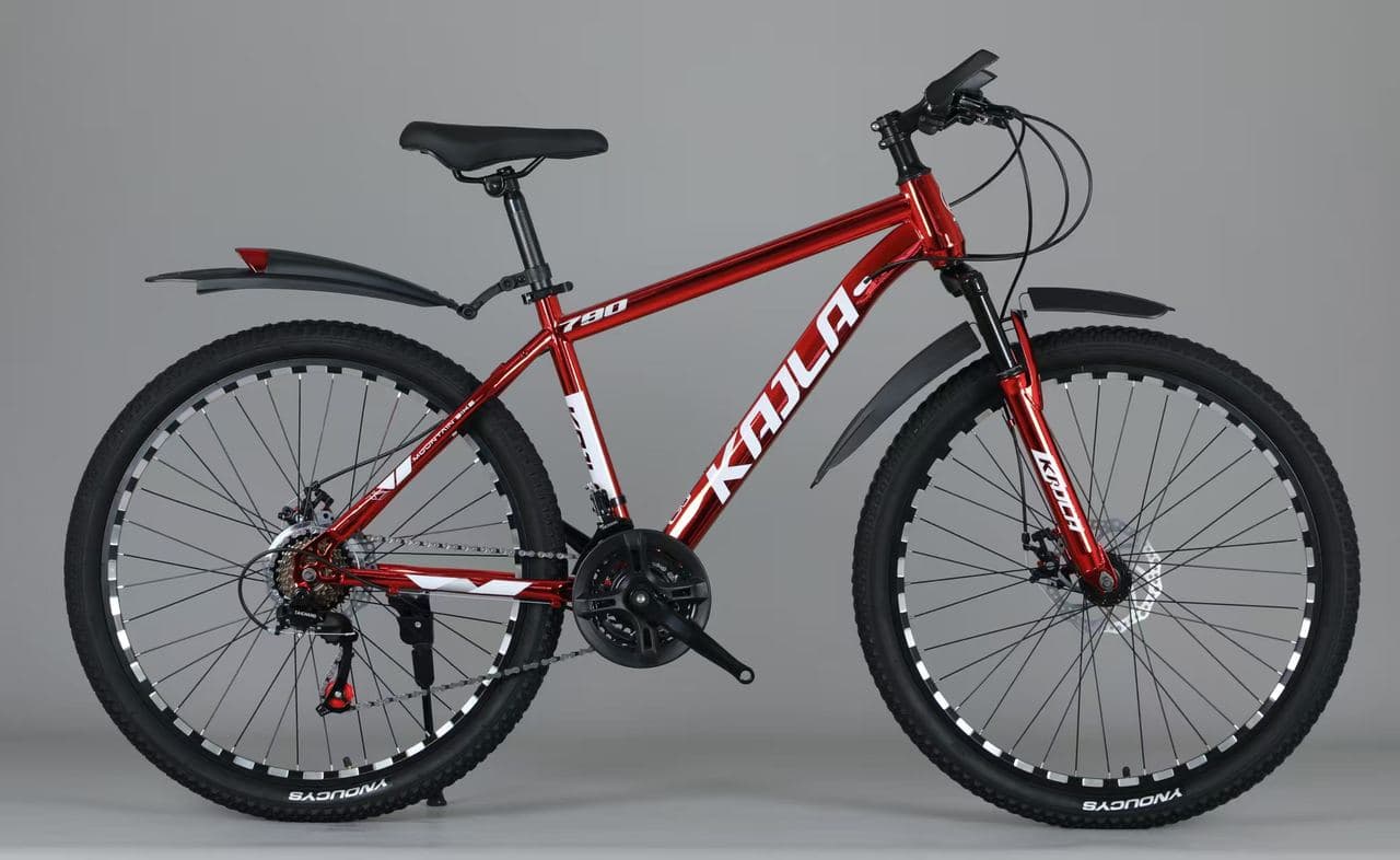 KAILA High-Carbon Steel Mountain Bike, Plated Spokes, 24 inch