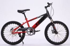 LXZ MTB Junior Mountain Bike with Baked-Paint Alloy Rims 4