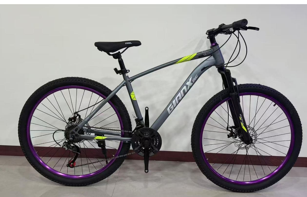 LXZ 26 inch High-Carbon Steel Mountain Bike, Argon-Welded Frame 4