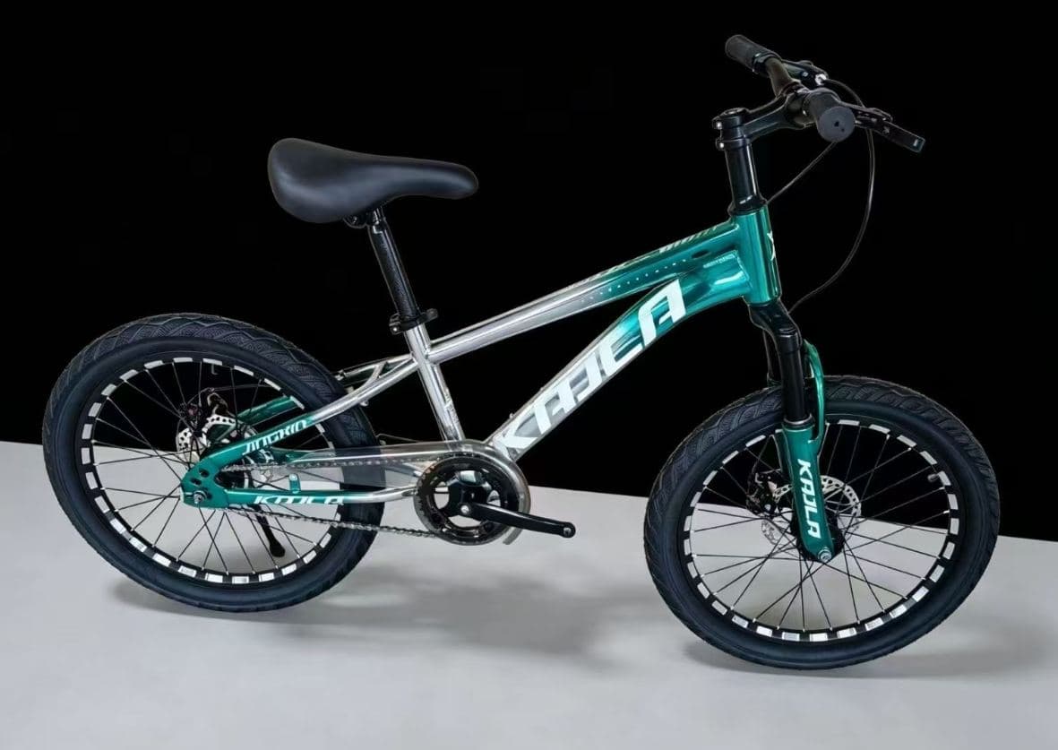 KAILA Iron Body Mountain Bike, 20 inch, Metallic Colours 2