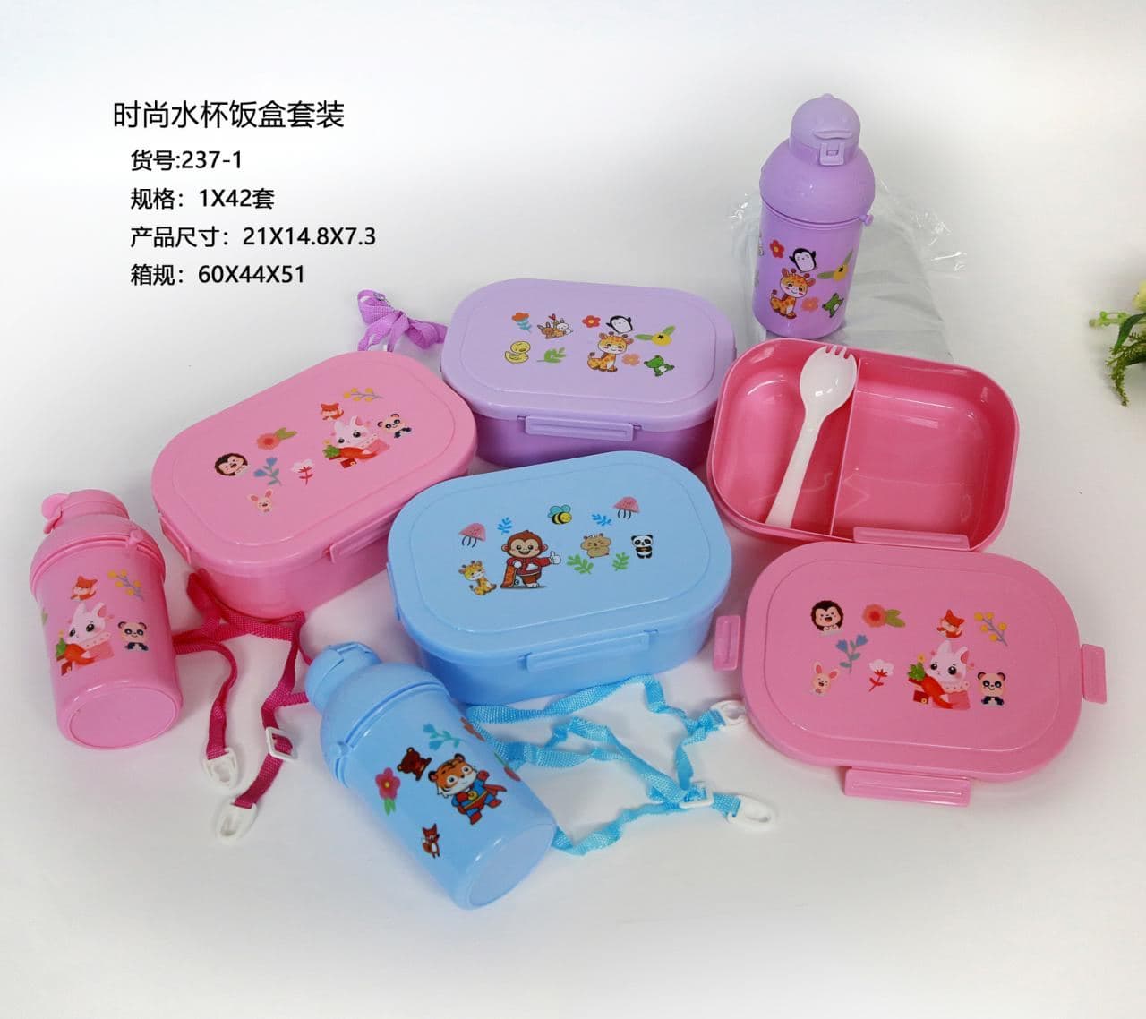 PP Plastic Lunch Box and Water Bottle Set, 21 x 14.8 x 7.3 cm