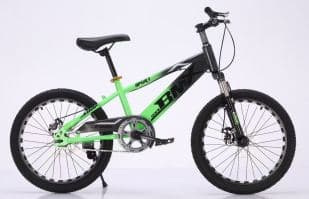 LXZ MTB Junior Mountain Bike with Baked-Paint Alloy Rims