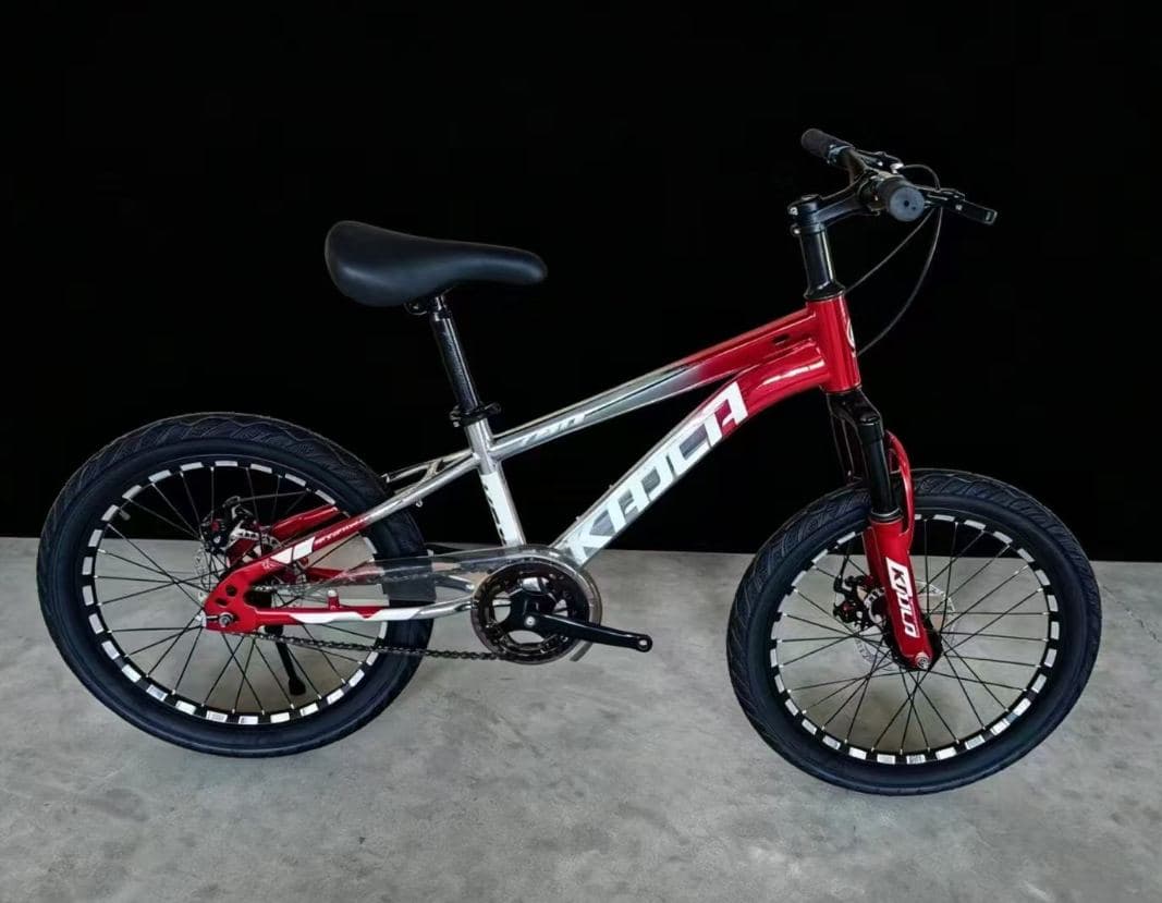 KAILA Iron Body Mountain Bike, 20 inch, Metallic Colours 5