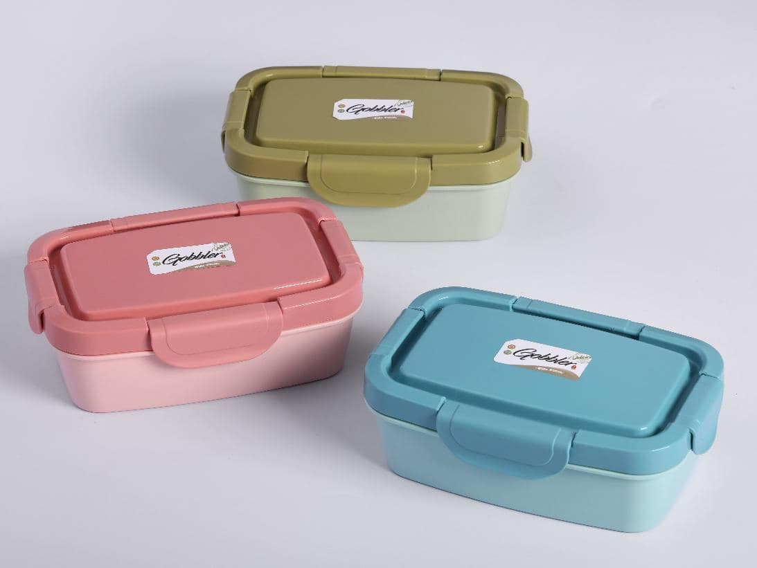 PP Plastic Lunch Box, 1100 ml, 25 x 17.5 x 7 cm, Ref. LB6240
