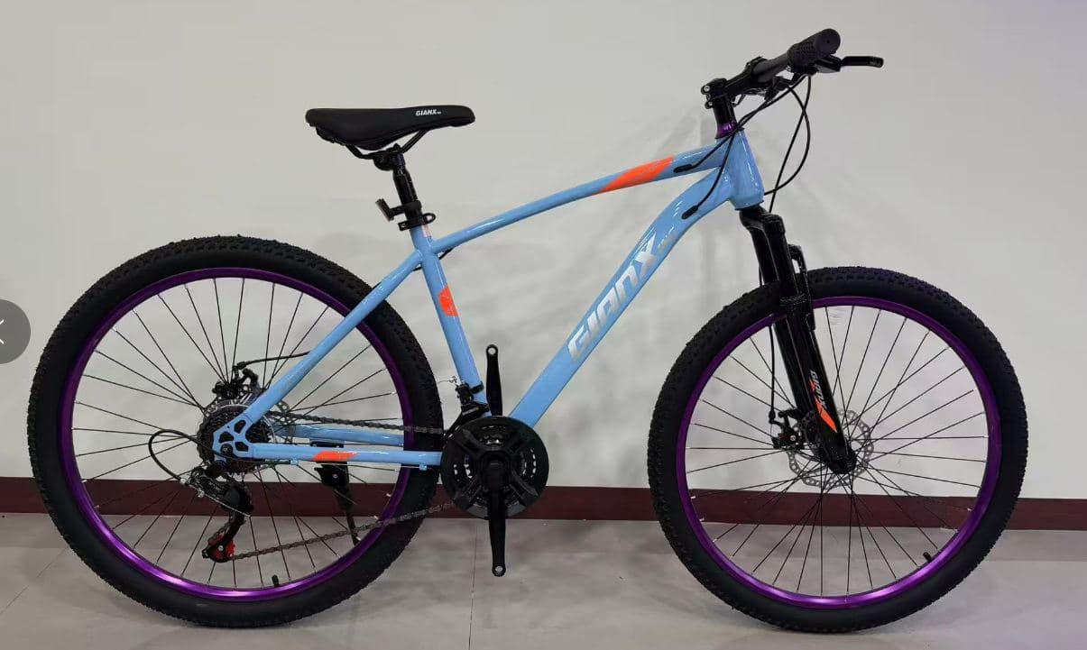 LXZ 26 inch High-Carbon Steel Mountain Bike, Argon-Welded Frame