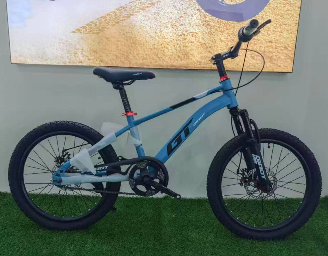 GT Junior Mountain Bike, 20 inch, Four Colours