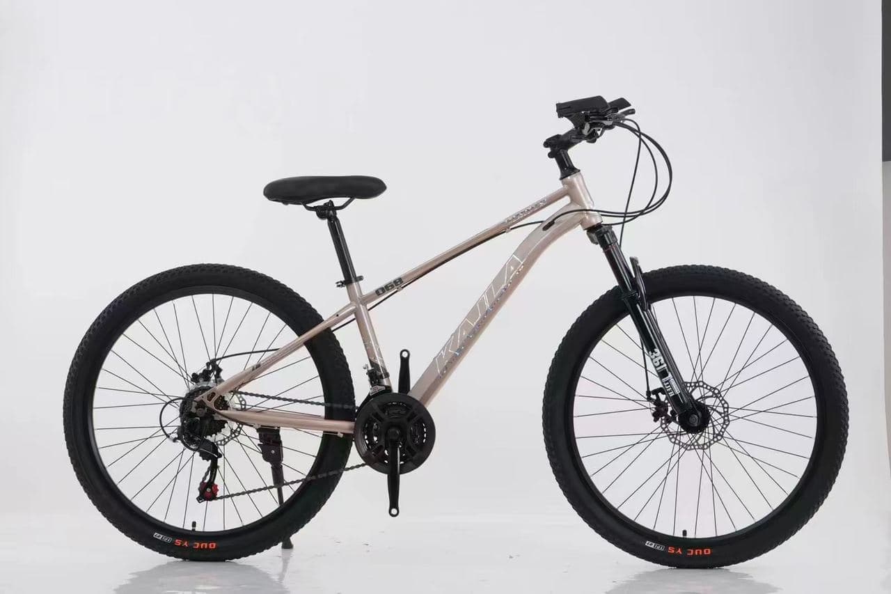KAILA Tank Mountain Bike with Spoked Wheels 2