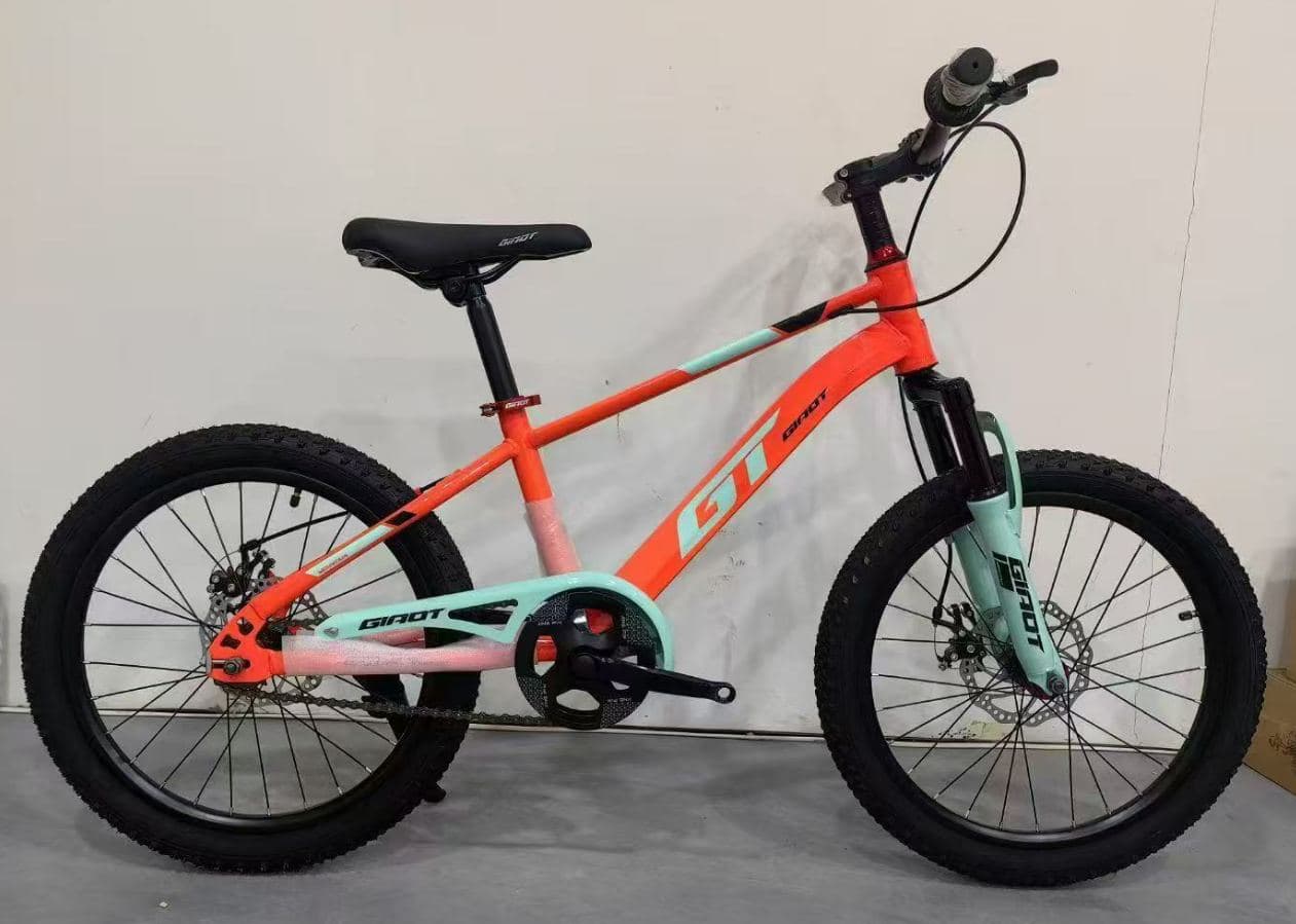 GT Junior Mountain Bike, 22 inch, Five Colours 2