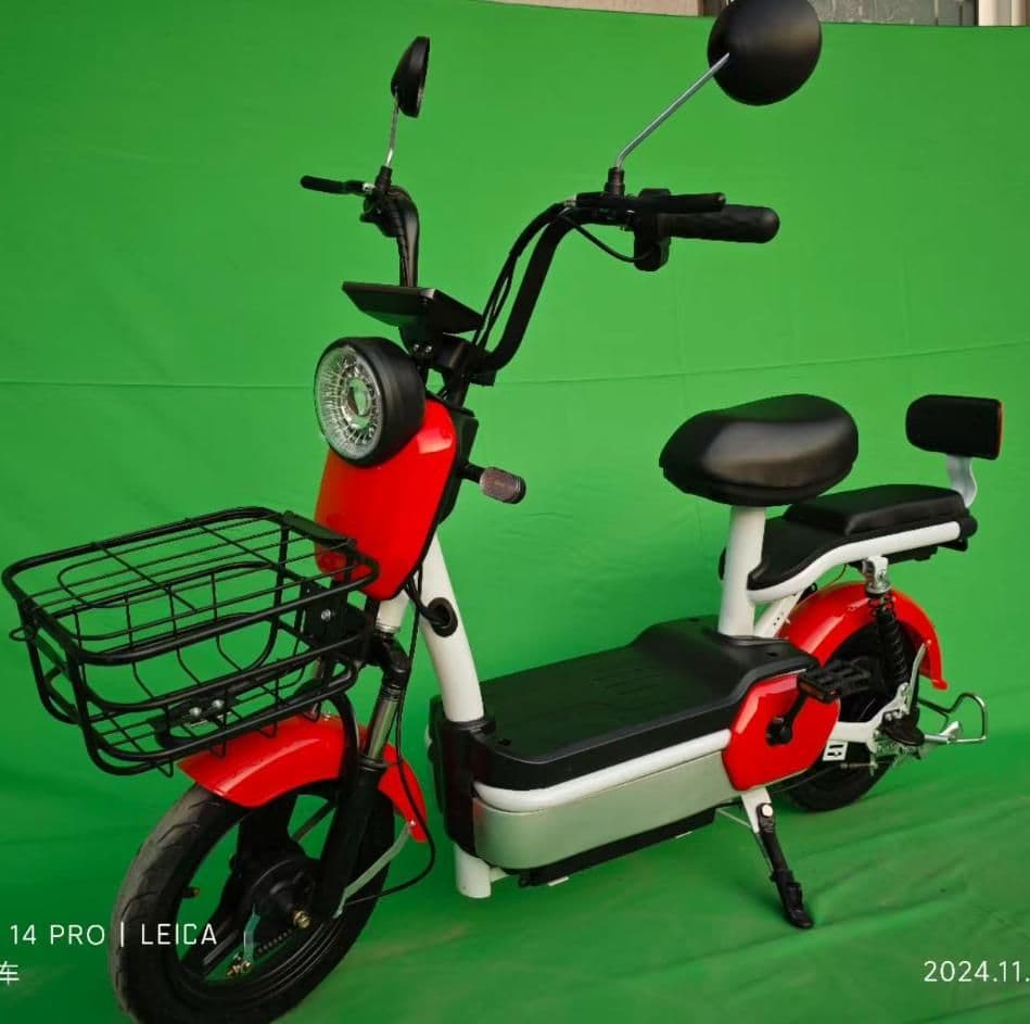 Electric Bicycle GM210, 48V350 /500, 30-35 km/h