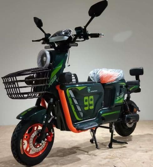 Electric Bicycle GM304 -1, 48V350 /500, 35-40 km/h