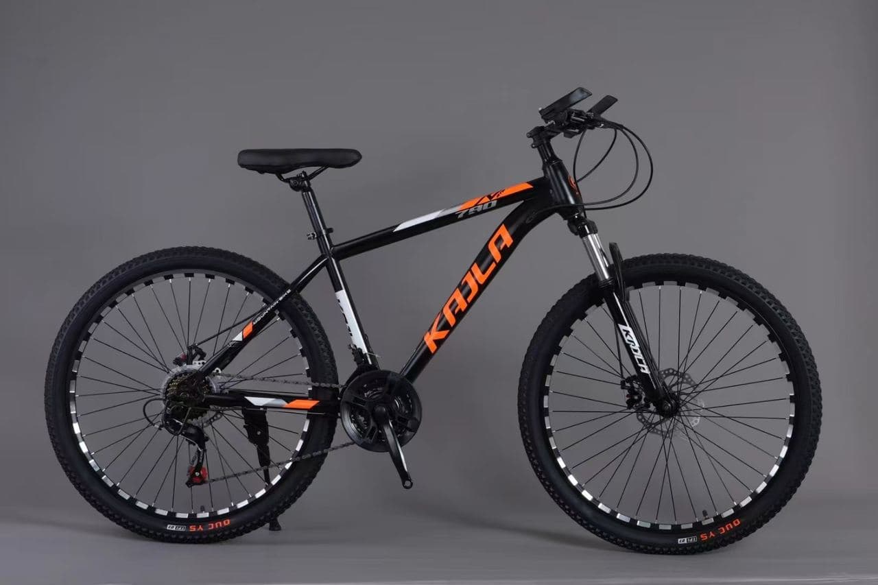 KAILA Hardtail Mountain Bike with Spoked Wheels 3