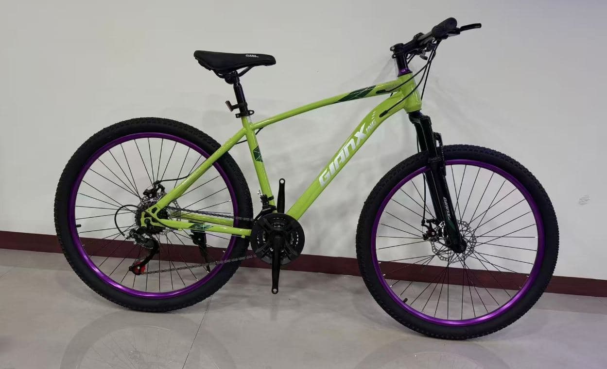 LXZ 26 inch High-Carbon Steel Mountain Bike, Argon-Welded Frame 2