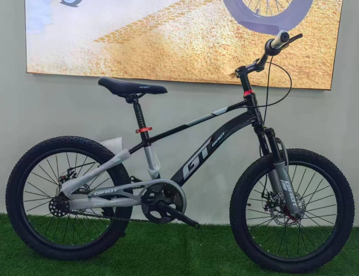 GT Junior Mountain Bike, 20 inch, Four Colours 2