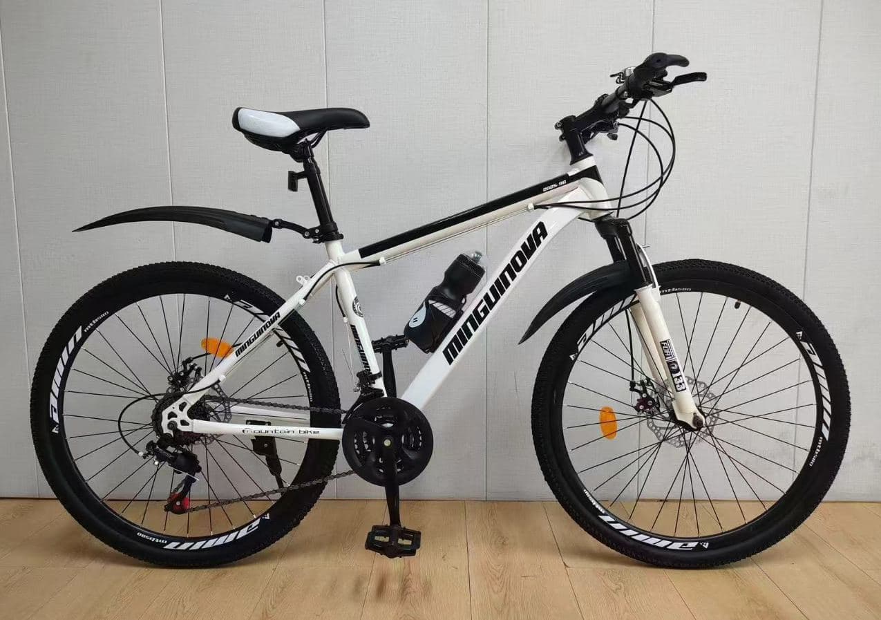 LXZ 26 inch Mountain Bike, 21-Speed, Three Colours 2