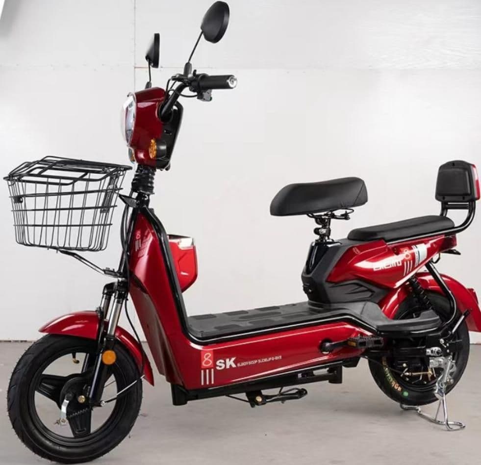 Electric Bicycle GM250, 1000, 40 km/h