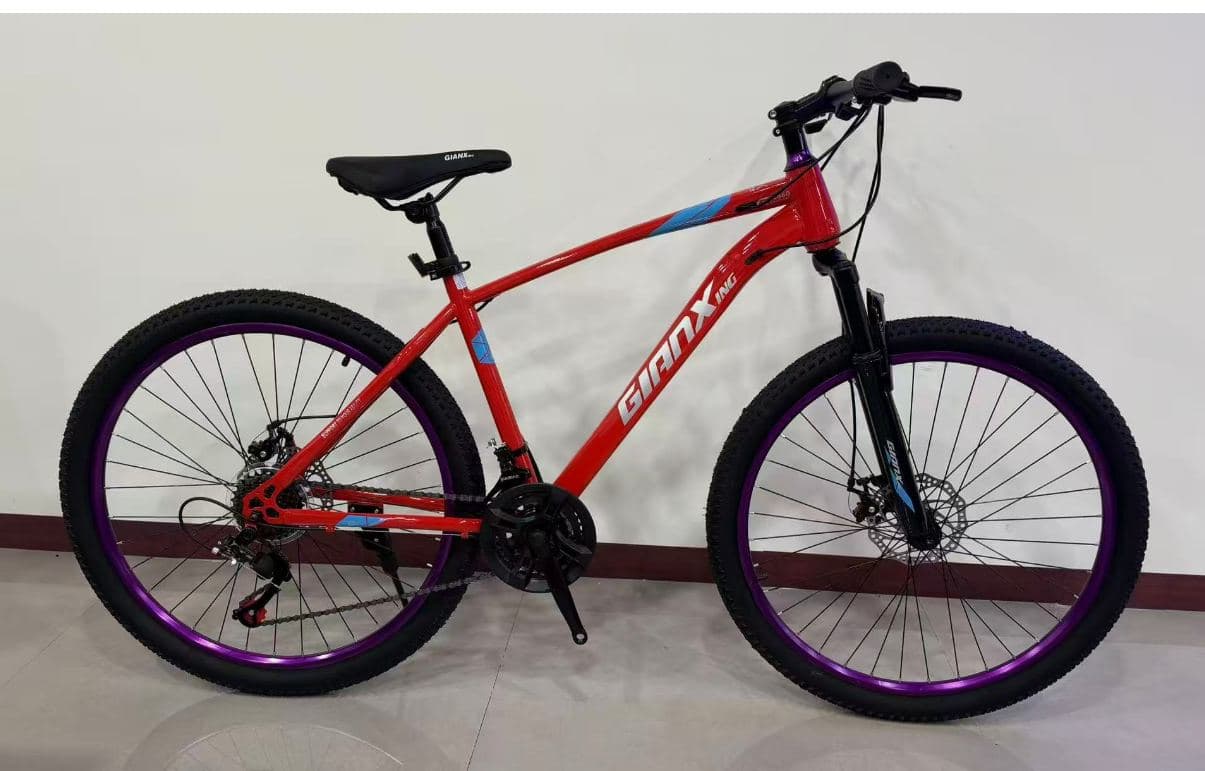 LXZ 26 inch High-Carbon Steel Mountain Bike, Argon-Welded Frame 3