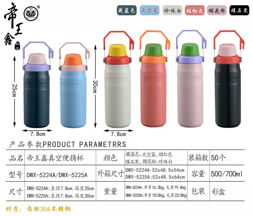 Diwangxin DWX-5224A Sports Flask with Coloured Lever Lid 2