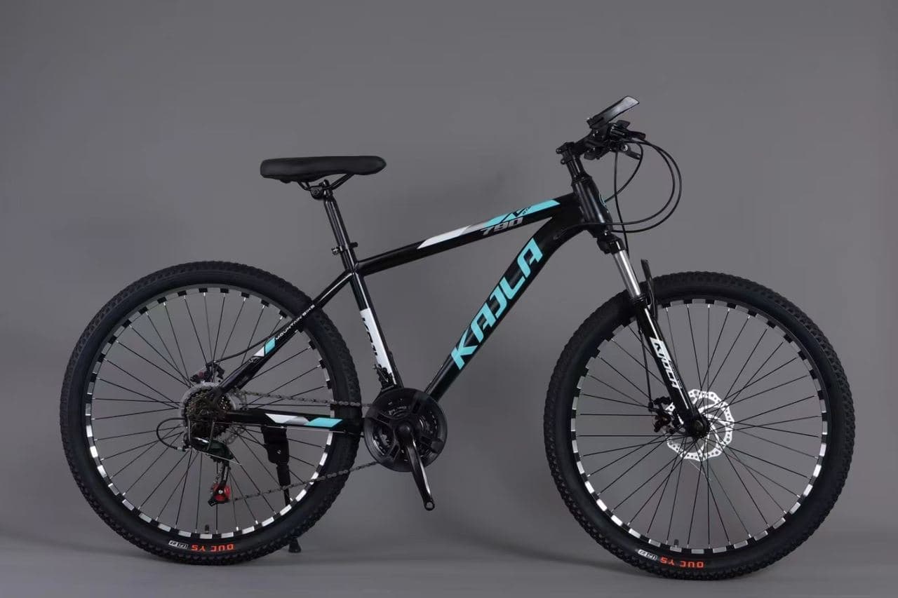 KAILA Hardtail Mountain Bike with Spoked Wheels 2