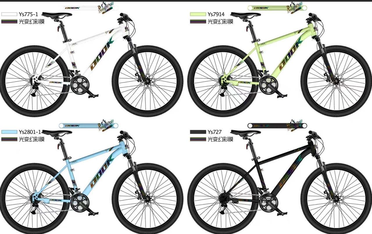 DOOK DK01 Mountain Bike, Steel Frame, Kirin 2.35 Tyres 2