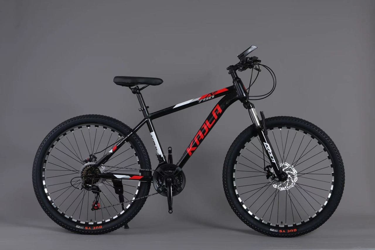 KAILA Hardtail Mountain Bike with Spoked Wheels