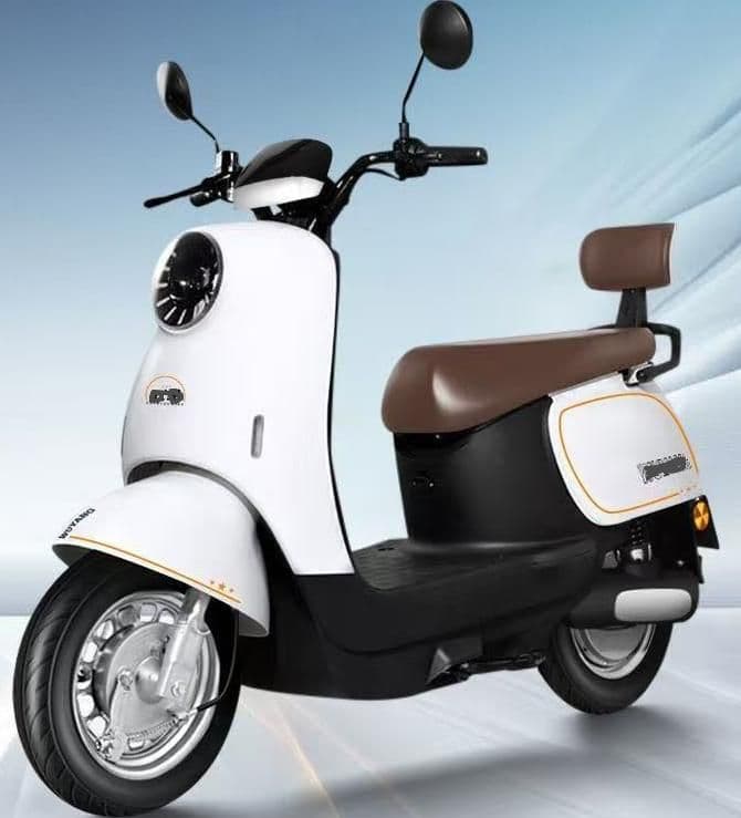Electric Motorcycle WS51, 800W24H, 45-50 km/h