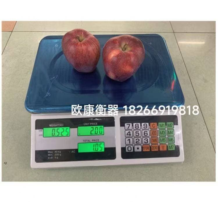Digital Price Computing Scale 40kg/5g, Commercial Retail 2