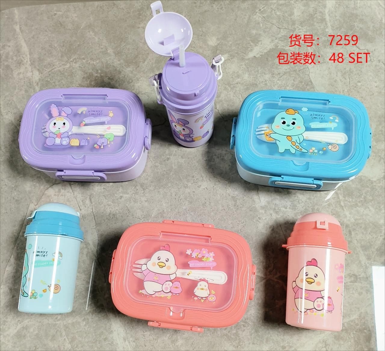 PP Plastic Lunch Box, 21.5 x 24 x 7.7 cm, Ref. LB6171