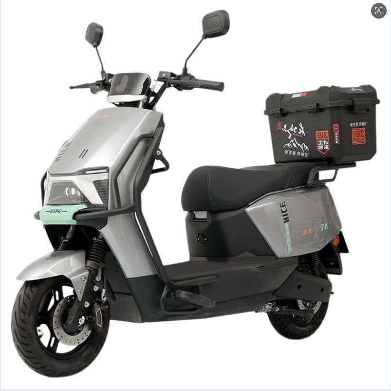 Electric Motorcycle WS55, 1000W, 45-50 km/h