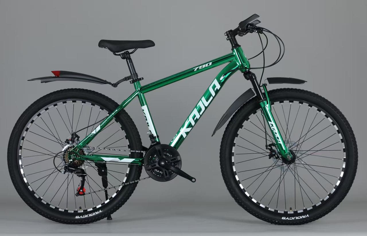 KAILA High-Carbon Steel Mountain Bike, Plated Spokes, 24 inch 2