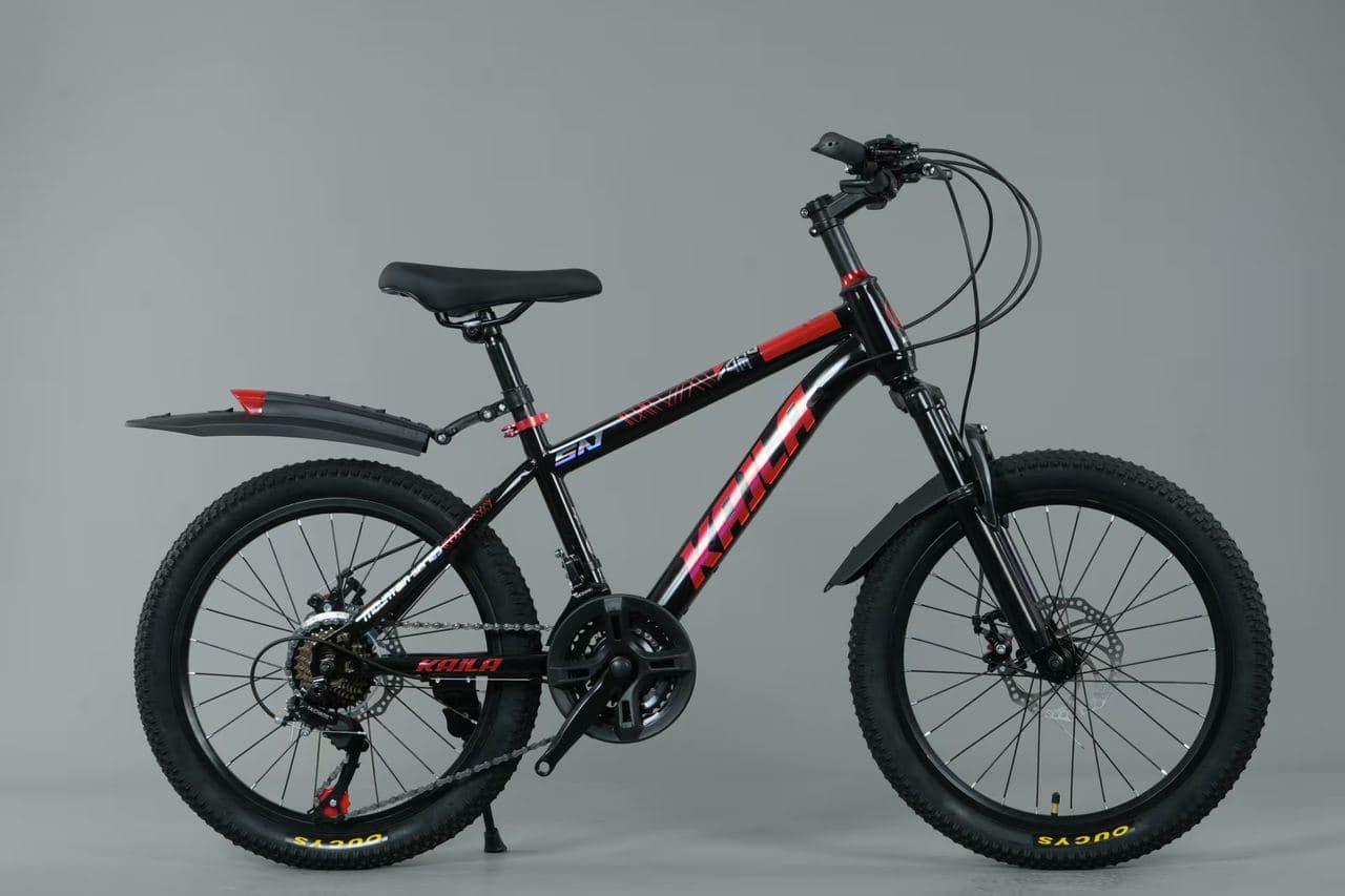 KAILA Unbranded Mountain Bike, 20 and 22 inch