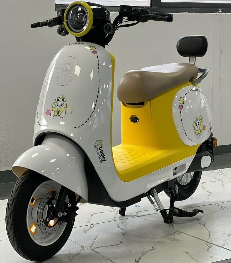 Electric Motorcycle XD013, 27H1000W, 50 km/h