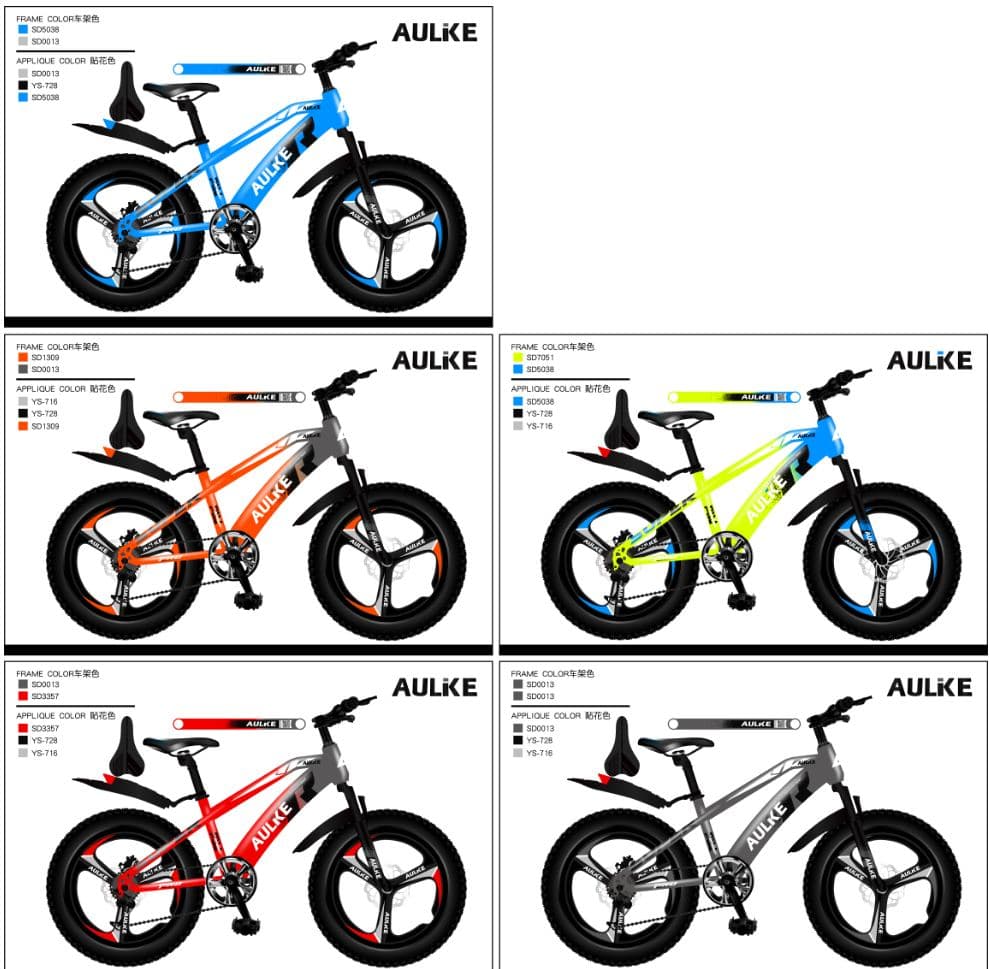 LXZ Fat Tyre Mountain Bike, 20 inch, 21-Speed with 3.0 Tyres 2