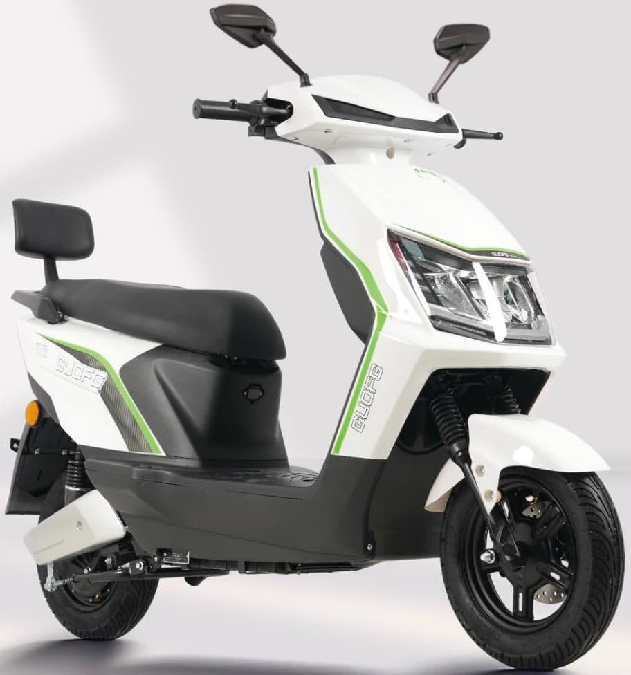 Electric Motorcycle WS48, 1000W, 45-50 km/h