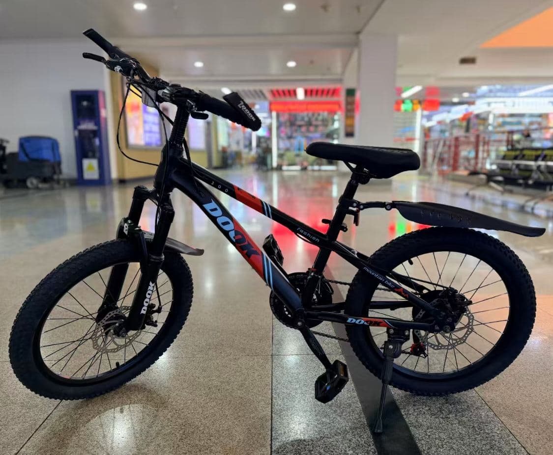 DOOK DK12 Mountain Bike, 20 inch Steel Frame, 21-Speed 2