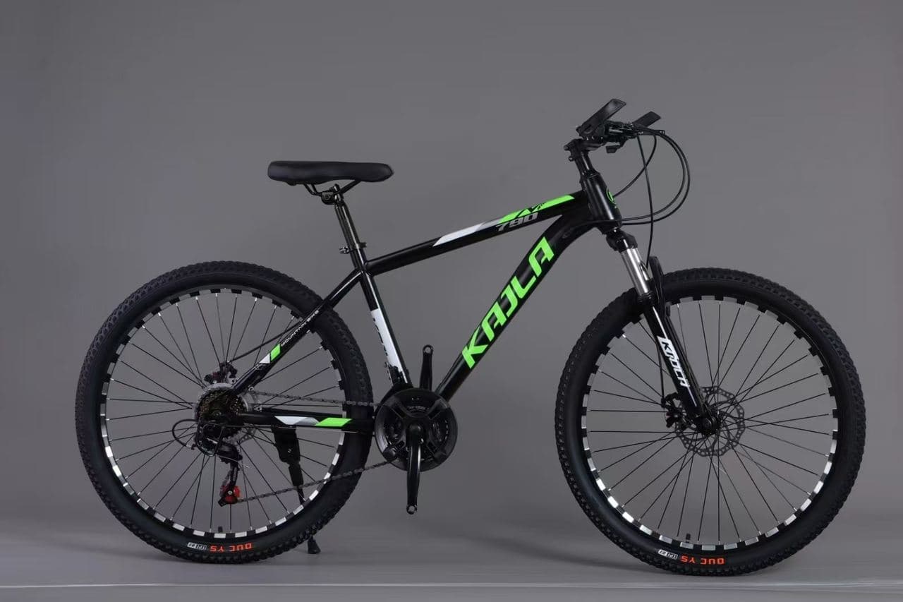 KAILA Hardtail Mountain Bike with Spoked Wheels 4