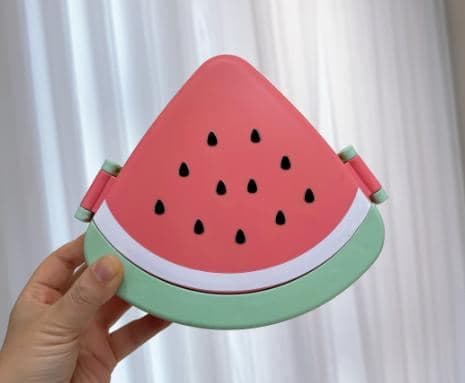 PP Plastic Lunch Box, 22 x 16.5 x 7 cm