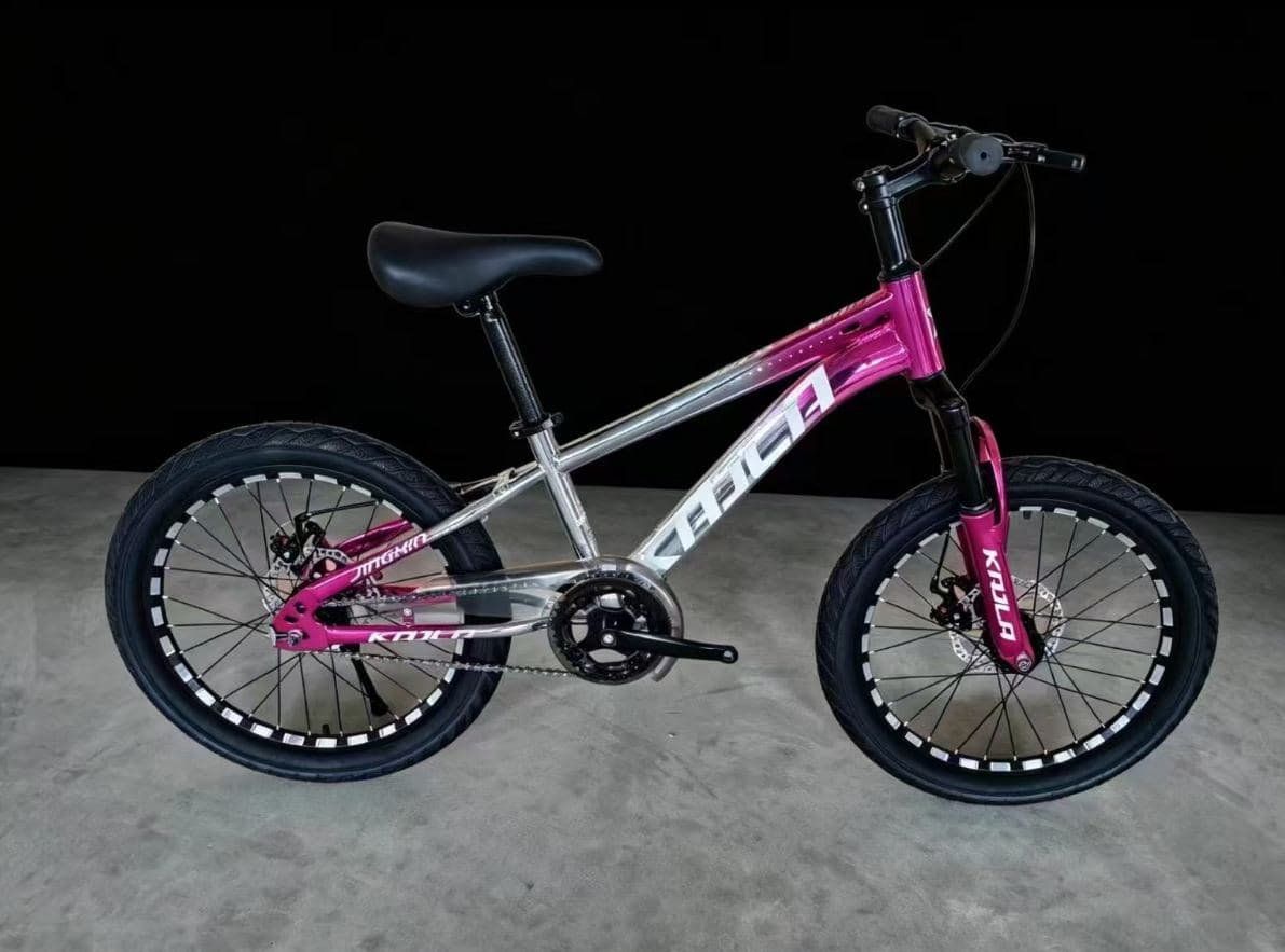 KAILA Iron Body Mountain Bike, 20 inch, Metallic Colours 4