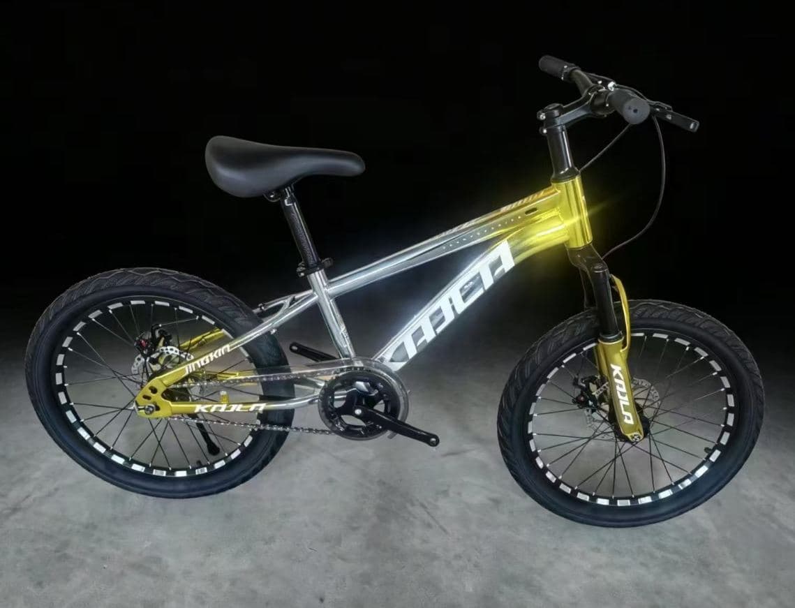 KAILA Iron Body Mountain Bike, 20 inch, Metallic Colours
