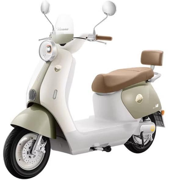 Electric Motorcycle WS66, 27H1000W, 45-50 km/h