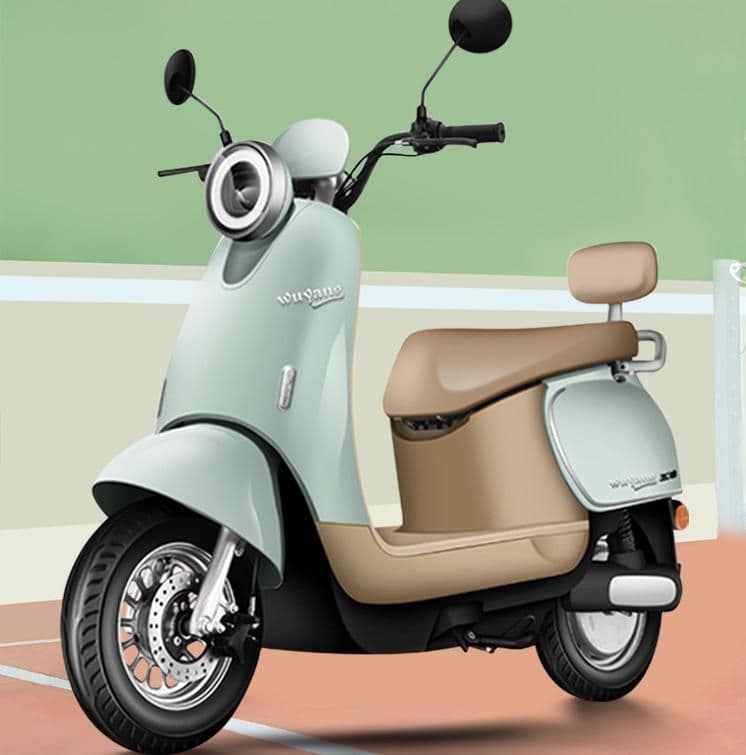 Electric Motorcycle WS54, 2000W12, 65 km/h