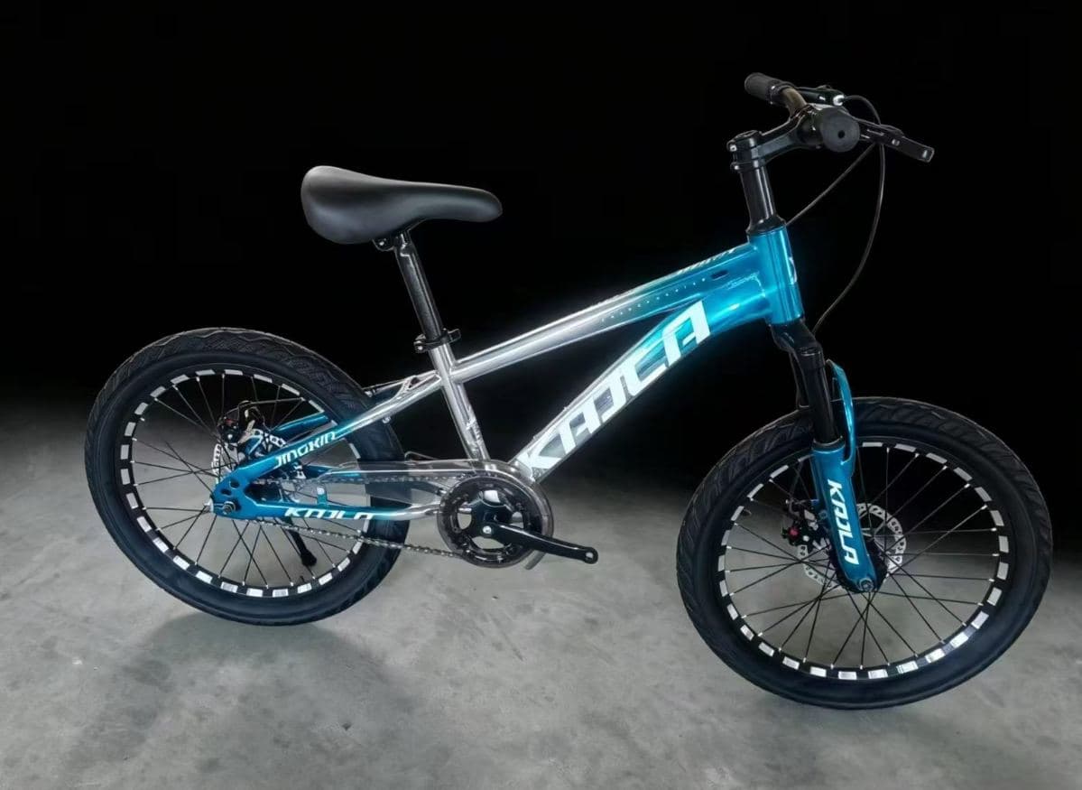 KAILA Iron Body Mountain Bike, 20 inch, Metallic Colours 3