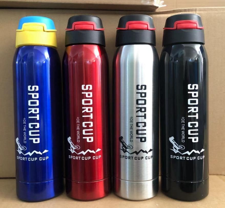Cartoon Print Stainless Steel Vacuum Flask, 500 ml, Ref. F063
