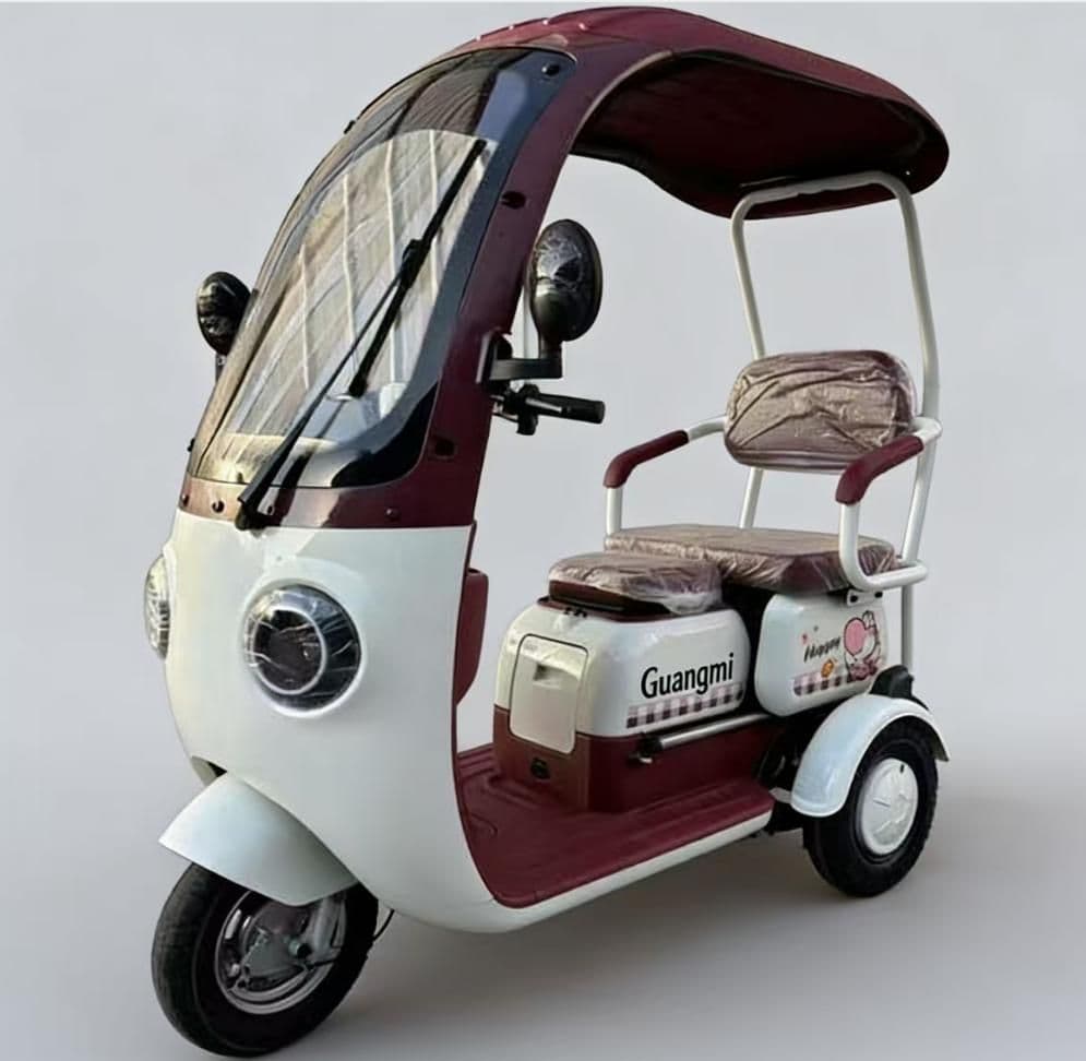 Electric Tricycle G106 V1, 25H500W differential motor, 30-35 km/h