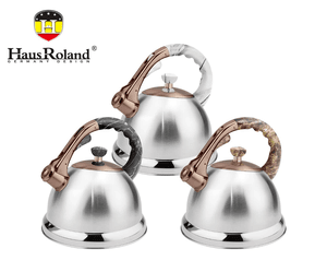 HausRoland Whistling Stovetop Kettle with Patterned Handle