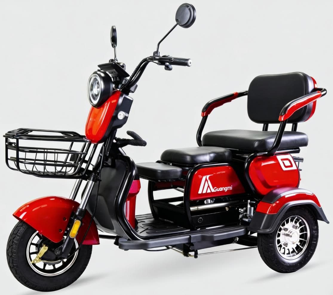 Electric Tricycle G121, 25H800W, 30-35 km/h