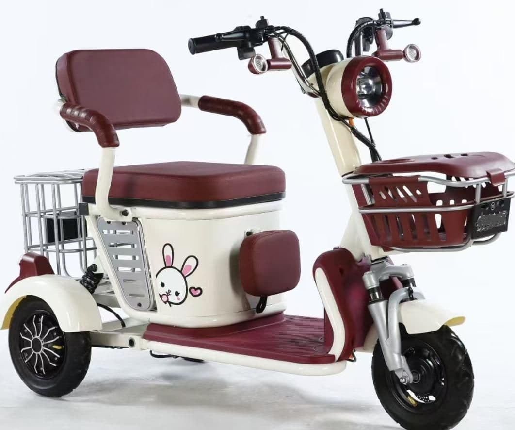 Electric Tricycle G107, 500W differential motor, 20 km/h